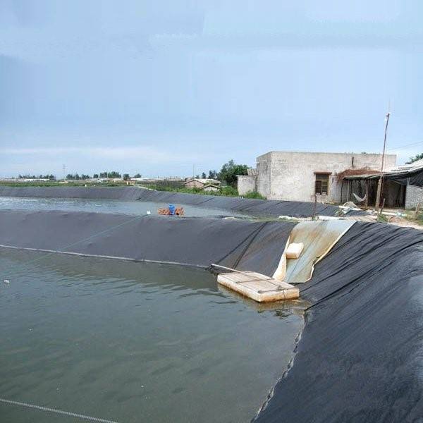 1642382144134434.jpg src=http___i.tta.cn_tbimg_img01_bao_uploaded_i1_884287548_O1CN010Ix66y25d1zV5dQGX_!!884287548.jpg&refer=http___i.tta.jpg